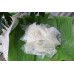 Phơi Sương Rìa mã 476
